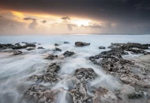 Could Cayman’s financial sector help save the planet?