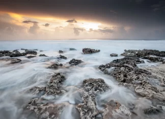Could Cayman’s financial sector help save the planet?