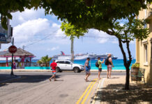 Return of cruise: Passengers will not be required to test before they disembark