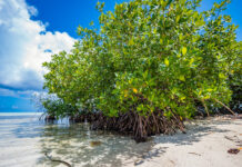 Government denies misuse of Environmental Protection Fund