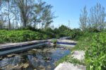 Climate change’s biggest threat may be to Cayman’s economy