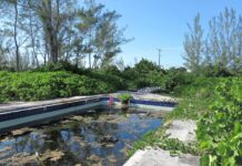 Climate change’s biggest threat may be to Cayman’s economy