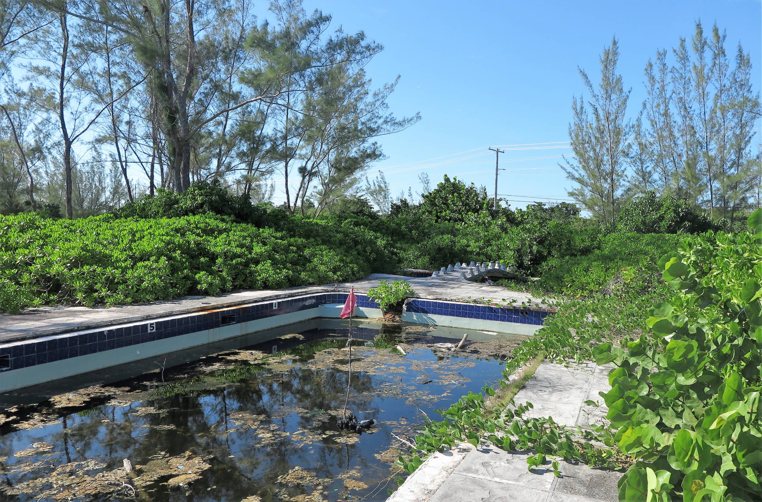 Climate change's biggest threat may be to Cayman's economy Cayman Compass