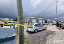 Four released on bail as murder investigations continue