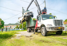 Beautification group back in action after a decade