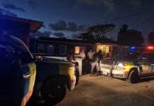 Family feud shooting caused by row over feeding child mangos