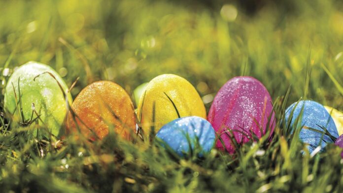 Egg hunt