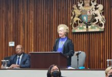 Privy Council judge: Parliaments, not courts, should make laws