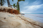Climate change team hopes policy will bind governments to take action The roots of palm trees on Seven Mile Beach are exposed due to beach erosion, which has been highlighted as one of the risks of climate change facing the Cayman Islands. - Photo: Taneos Ramsay