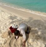 Turtle nest relocated from high water mark
