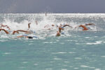 118 take part in Flow Sea Swim
