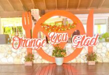 Orange You Glad gala successful night for Meals on Wheels