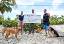 Video | Dog relocation project