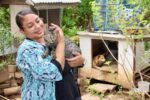 Case study: The challenge to spay and neuter