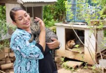 Case study: The challenge to spay and neuter