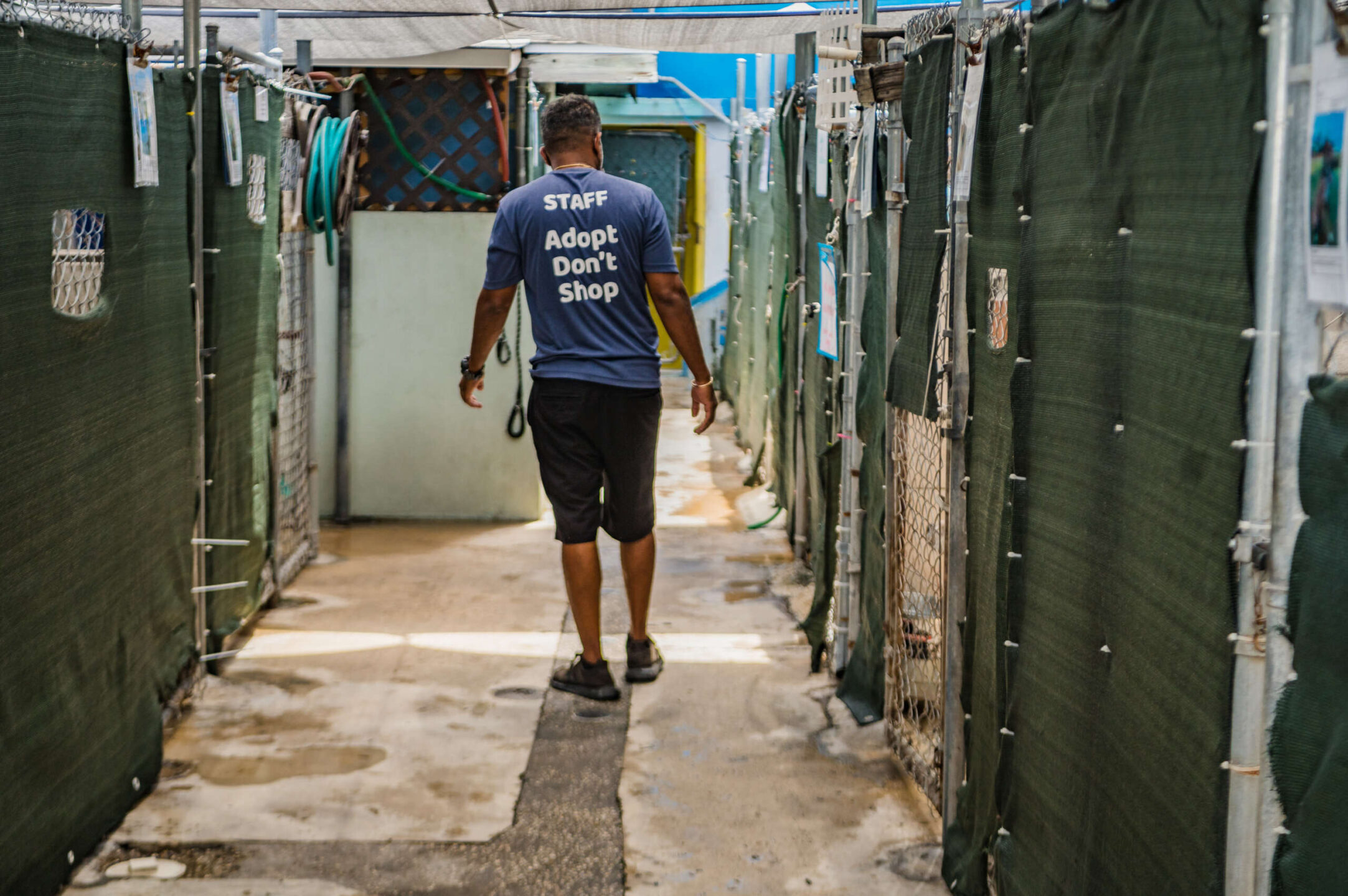 As another hurricane season begins, with no news on a new shelter, the situation is getting desperate, says Humane Society assistant manager Jason Jairim