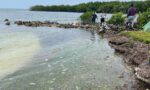 Anti-plastic group calls for government-led clean-ups