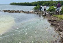 Anti-plastic group calls for government-led clean-ups