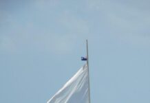 Catboats race to celebrate Queen’s jubilee