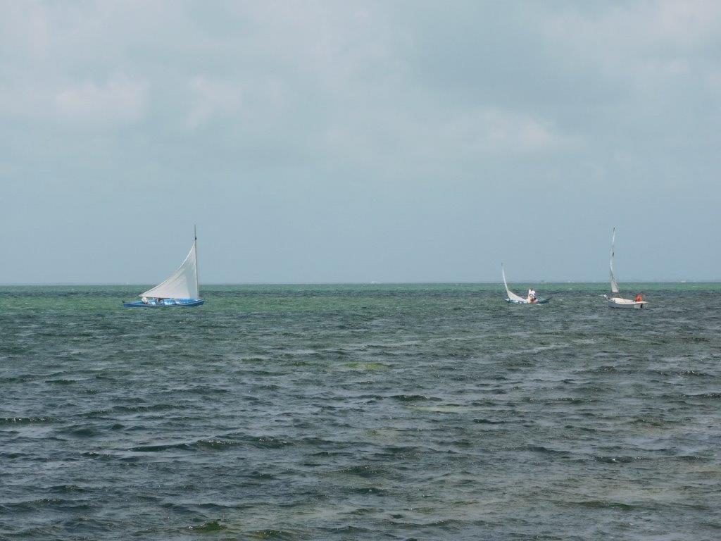 Catboats race to celebrate Queen's jubilee Cayman Compass