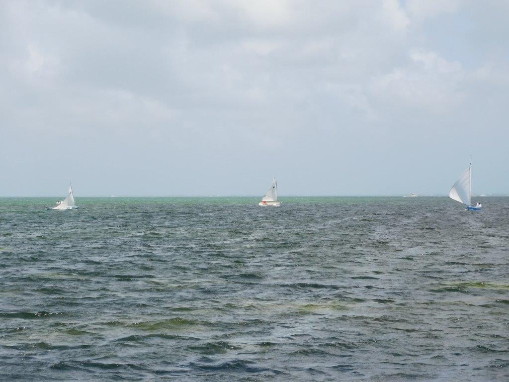 catboat4 Cayman Compass