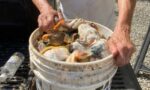 Suspected repeat poachers held with 194 conch