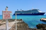 ‘Too close’ cruise ships stir up environmental concerns