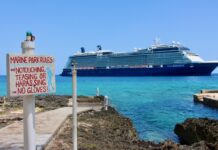 ‘Too close’ cruise ships stir up environmental concerns