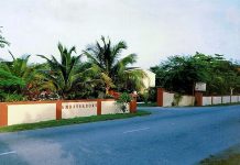 Looking back in time: Memories from a 1985 trip to Cayman