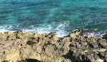 DoE: ‘Blanket’ coastal setback rules should be reconsidered