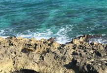 DoE: ‘Blanket’ coastal setback rules should be reconsidered