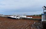 Sea of sargassum: Invasion spreads in North Sound
