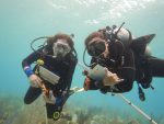 CCMI welcomes Women in Ocean Science Award scholars and interns