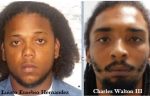 Duo wanted by police for firearm offences