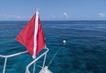 All-women inductees for Scuba Hall of Fame