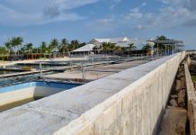 Six-figure payout for man who injured eye at Cayman attraction
