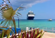 Businesses battle to stay afloat amid cruise decline