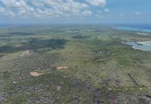 Final frontier: Road project will bring development to Cayman’s last wilderness