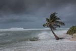 Local survey: Measures can be taken to tackle man-made climate change