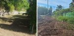 National Trust laments demolition of historic stone wall