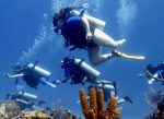 Stay-Focused divers with disabilities back in the water