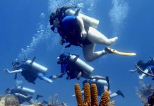 Stay-Focused divers with disabilities back in the water
