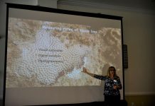 Brainstorming solutions to stony coral disease