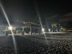 More than 25 turtle hatchlings lost due to condo lights