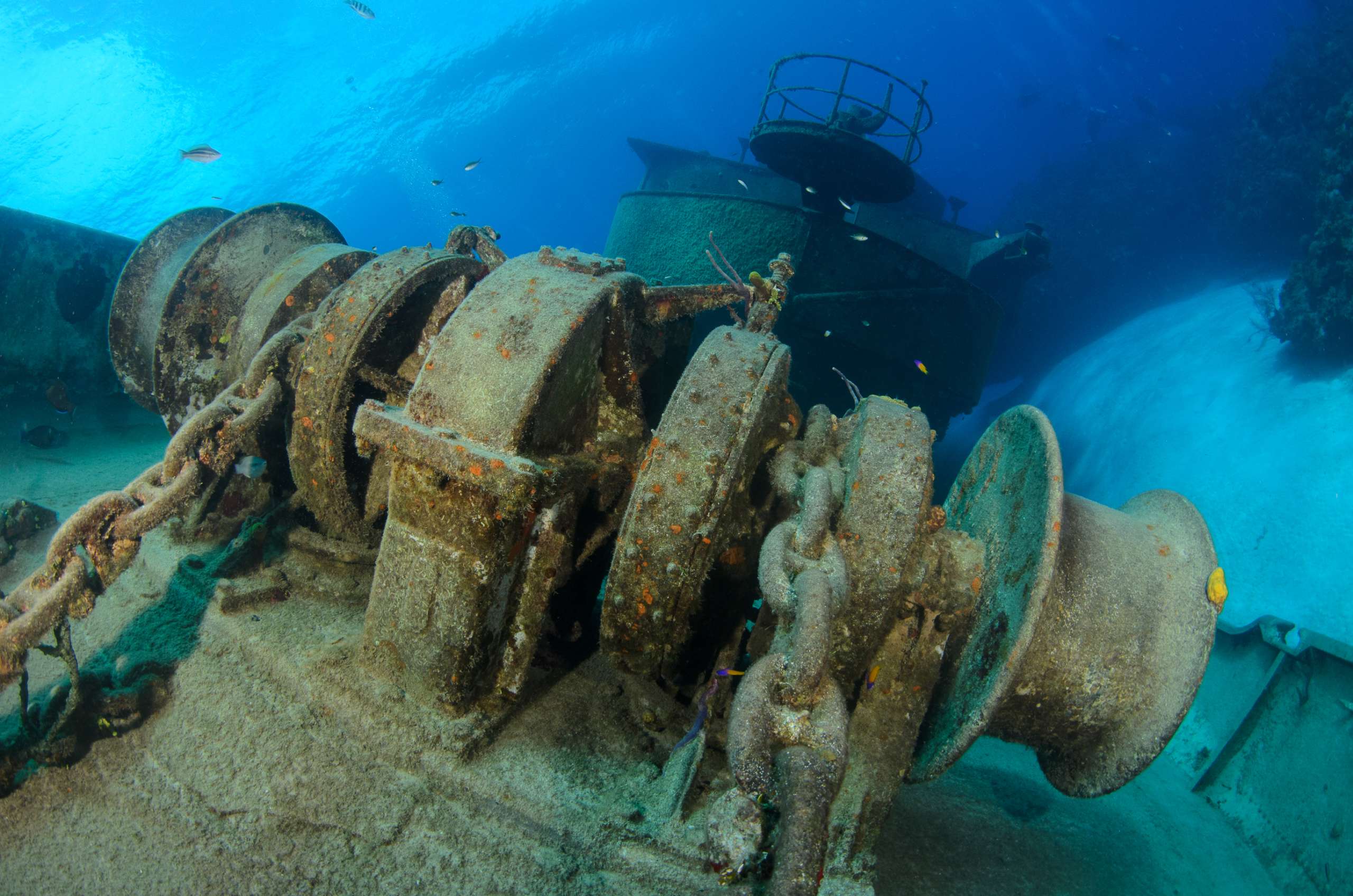 Best Cayman Islands Dive Sites Cayman Compass