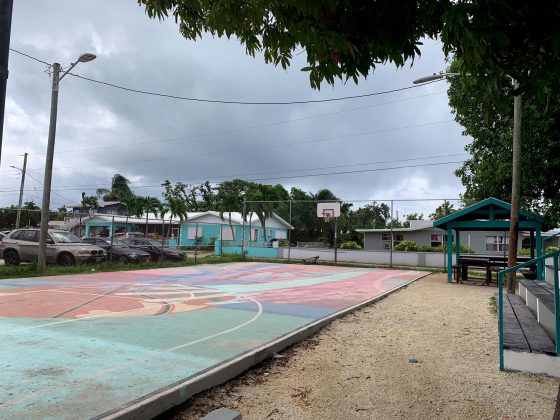 A slide, swingset and basketball court can be found in WIndsor Park