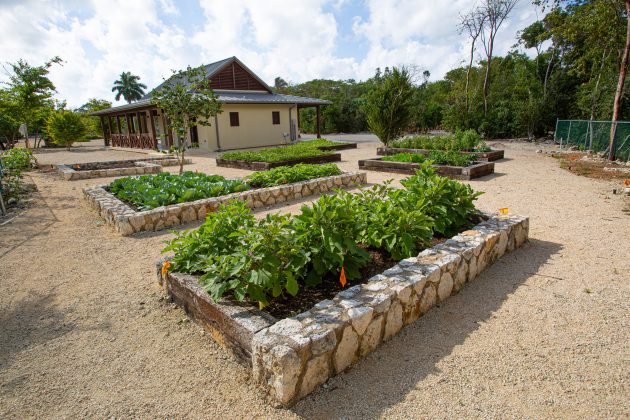 The QEII Botanic Park Children's Garden has a splash pad and observation tower amongst other attractions.