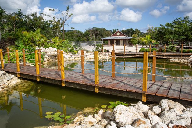 The QEII Botanic Park Children's Garden has a splash pad and observation tower amongst other attractions.