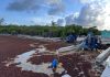 Rotting seaweed ends sargassum-removal trial