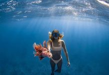 Lionfish tournament planned for this weekend